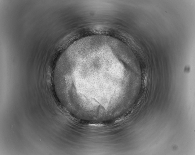 X0000098170266200805221521