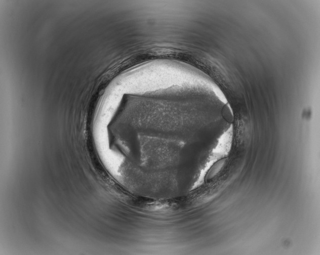 X0000098170267200805221521