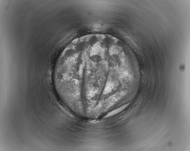 X0000098170269200805221521