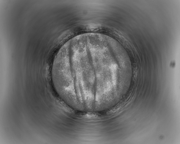 X0000098170270200805221521