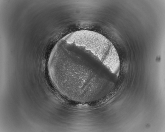 X0000098170271200805221521