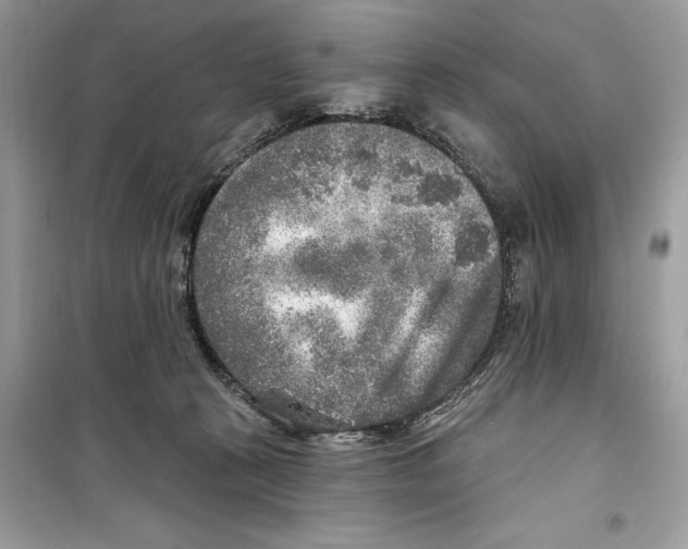 X0000098170273200805221521