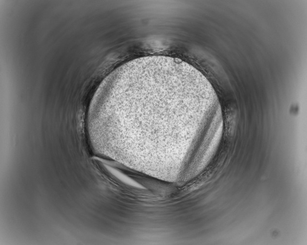 X0000098170274200805221521