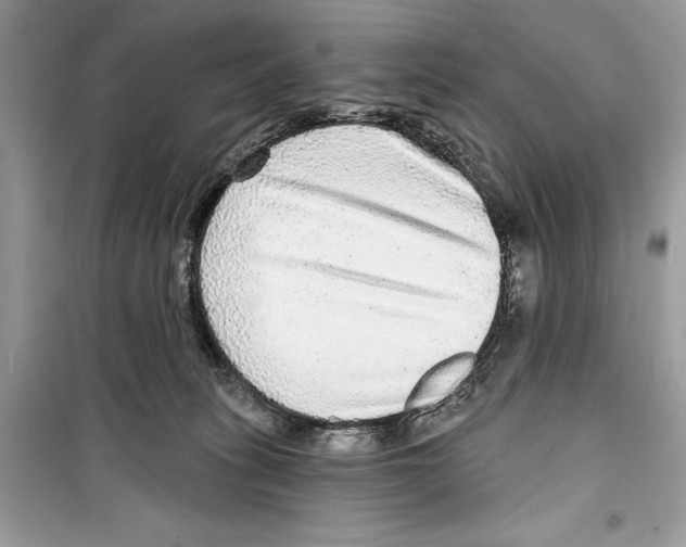 X0000098170275200805221521