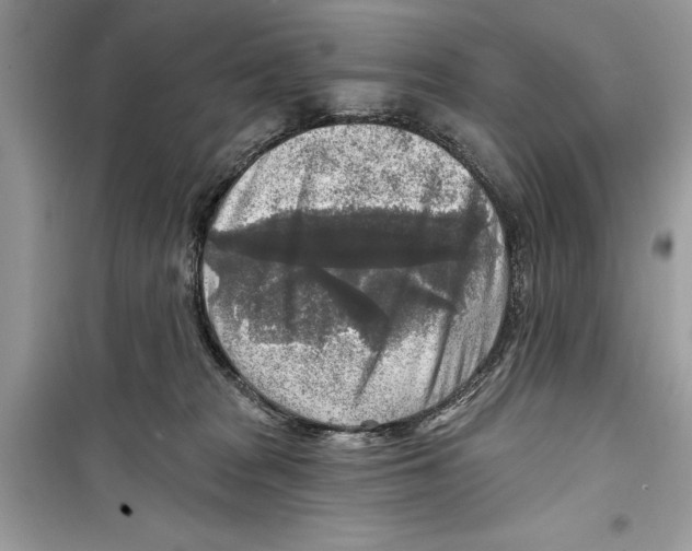 X0000098170277200805221521