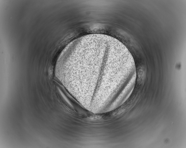 X0000098170278200805221522