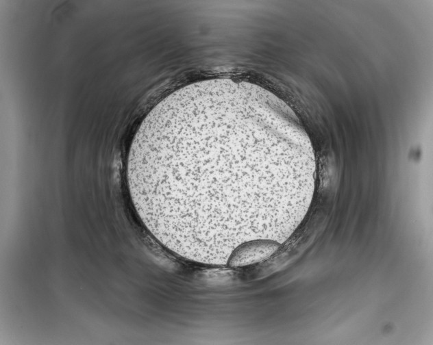 X0000098170279200805221522