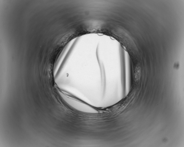 X0000098170280200805221522