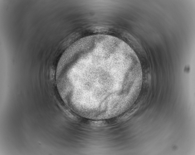 X0000098170281200805221522