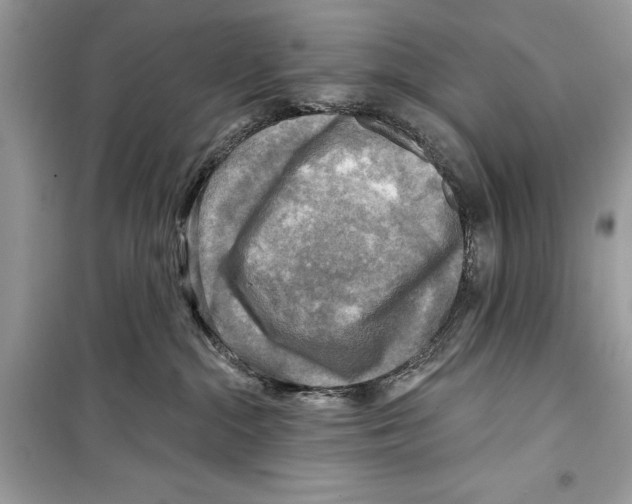 X0000098170284200805221522