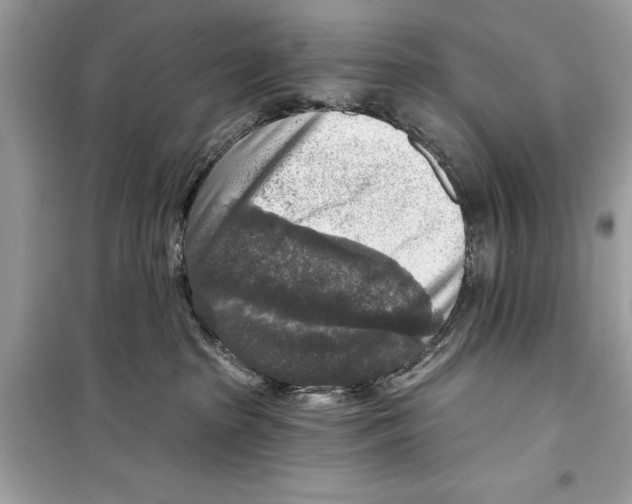 X0000098170285200805221522