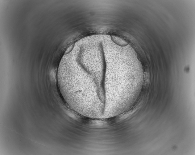 X0000098170286200805221522