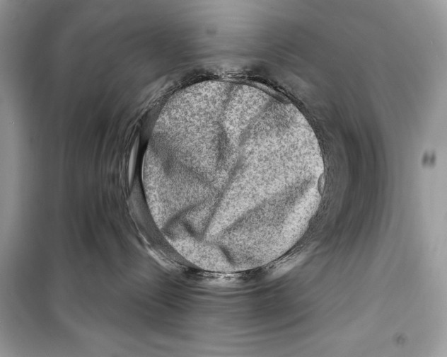 X0000098170288200805221522