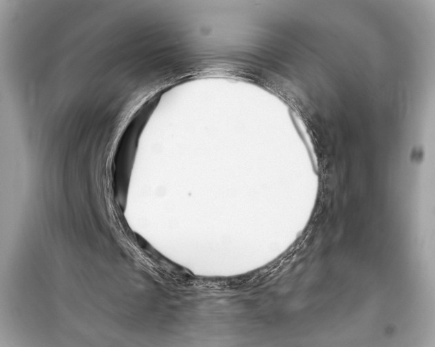 X0000098170289200805221521