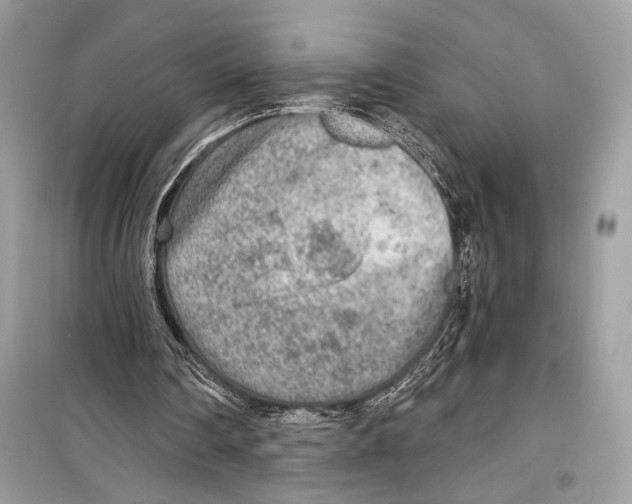 X0000098170290200805221521