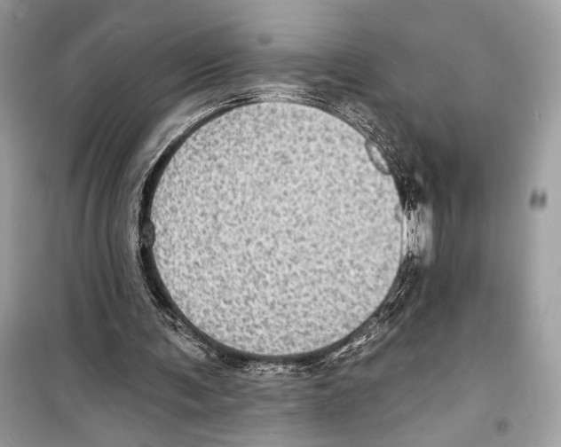 X0000098170291200805221521