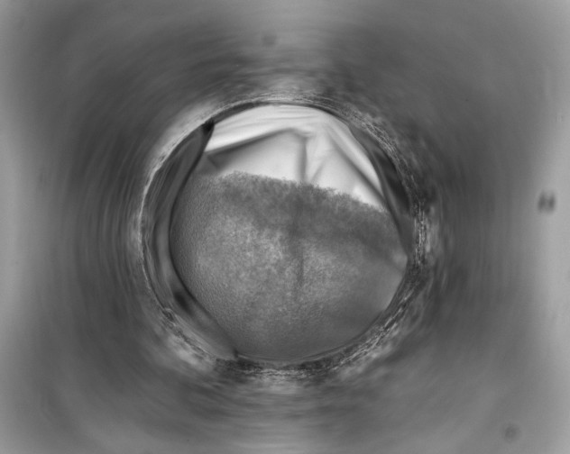 X0000098170292200805221521