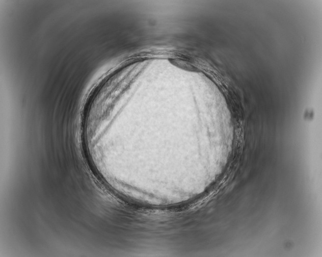 X0000098170293200805221521