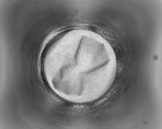 X0000098170294200805221521