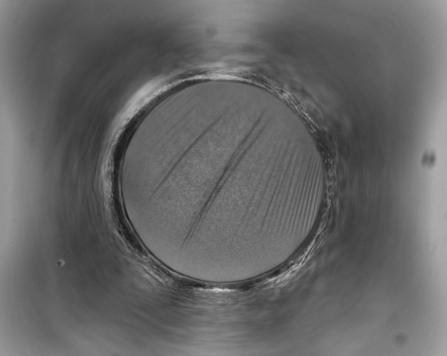 X0000098170295200805221521