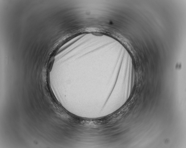 X0000098170297200805221521