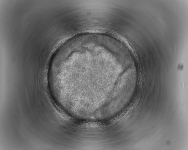 X0000098170299200805221521