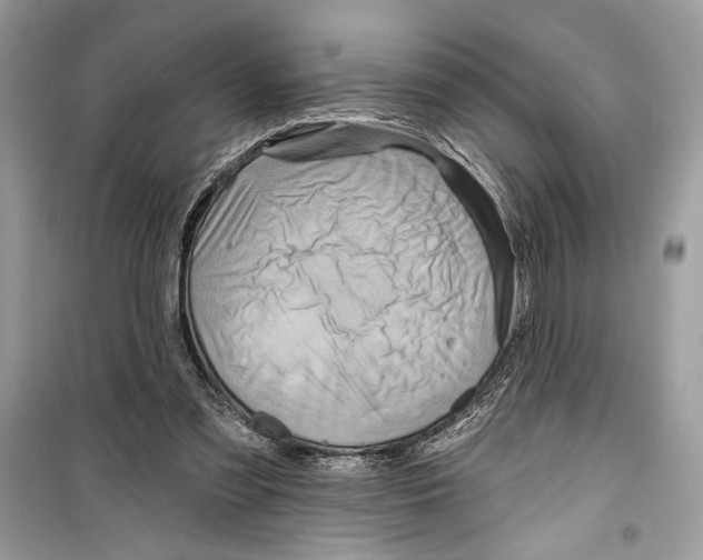 X0000098170301200805221521