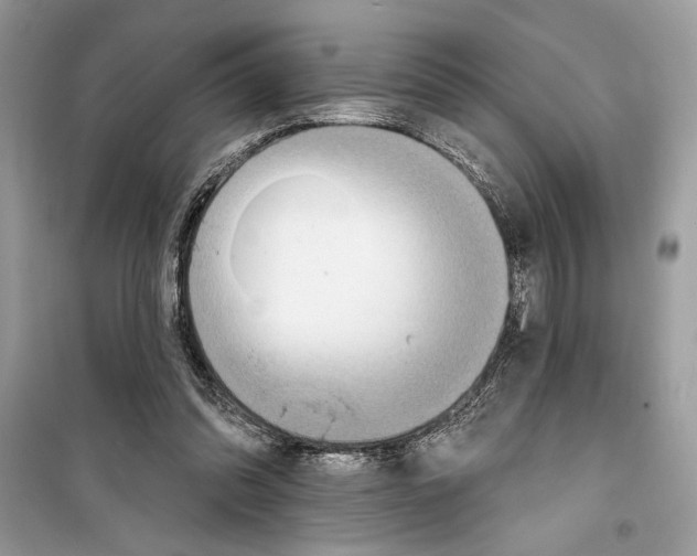 X0000098170302200805221521