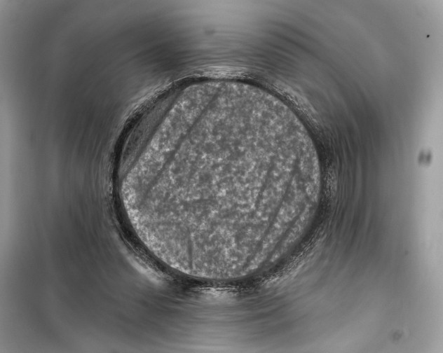 X0000098170303200805221521