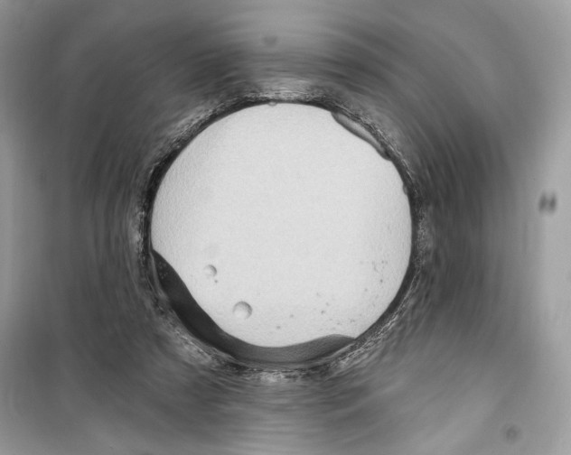 X0000098170305200805221521