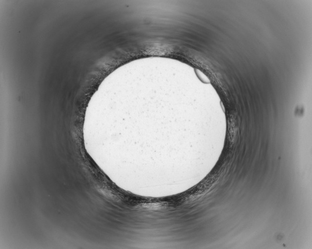 X0000098170307200805221521