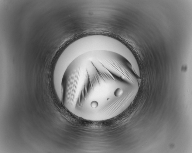 X0000098170308200805221521