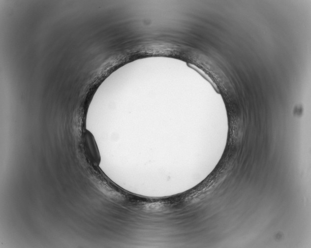 X0000098170309200805221521