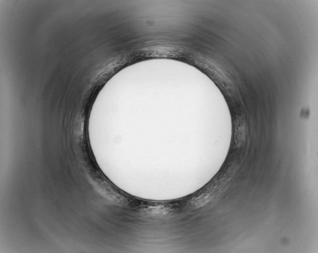 X0000098170310200805221521