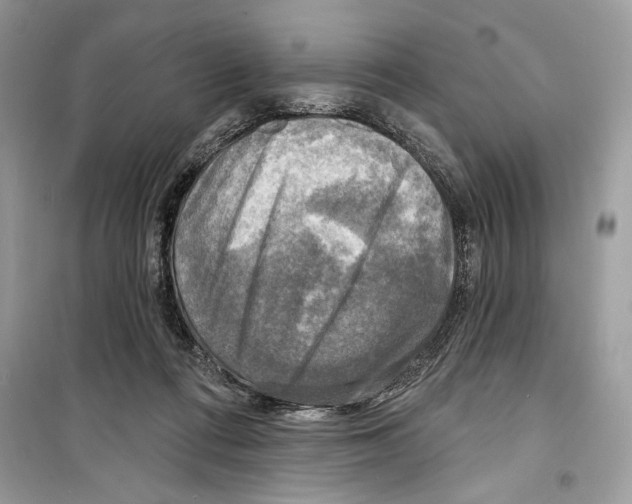 X0000098170312200805221521