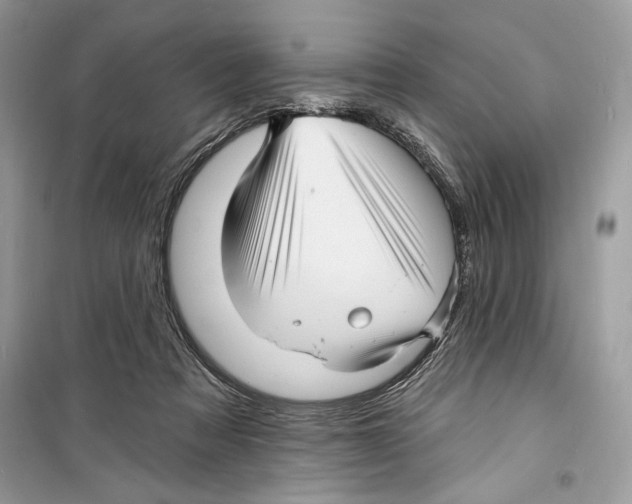 X0000098170313200805221521