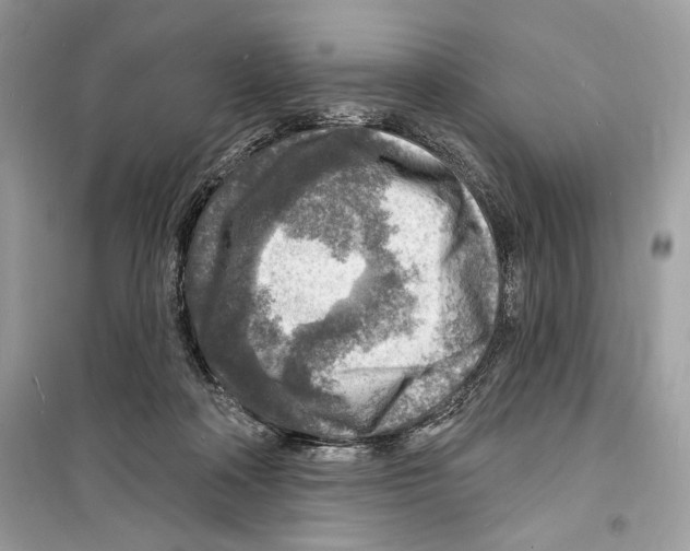 X0000098170314200805221521