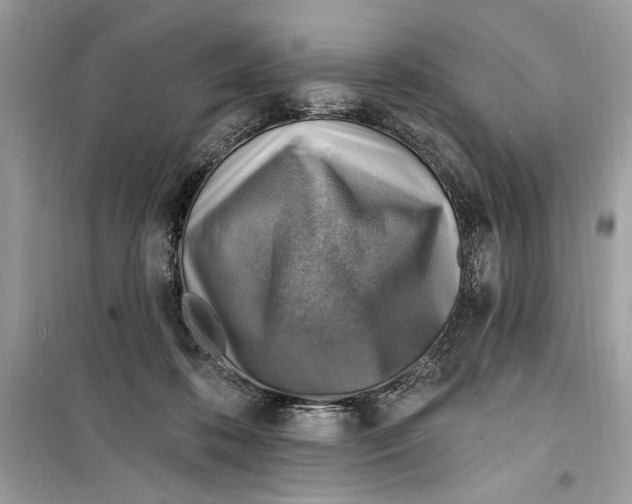 X0000098170316200805221520