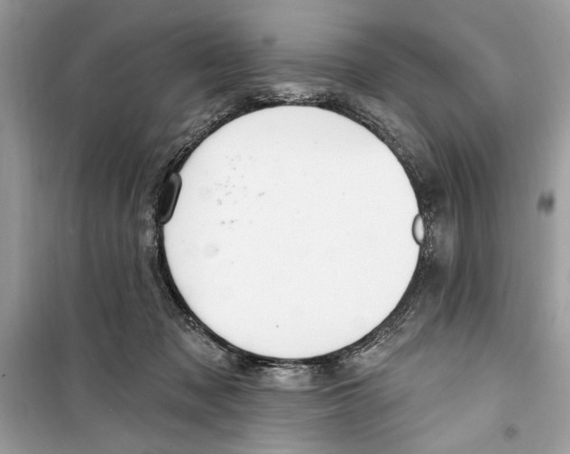 X0000098170317200805221520