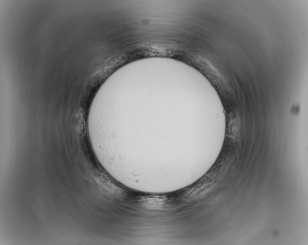 X0000098170318200805221520