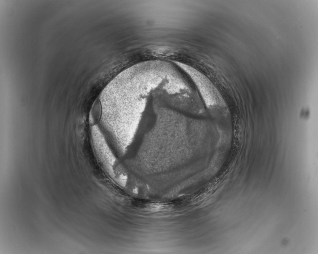 X0000098170319200805221520