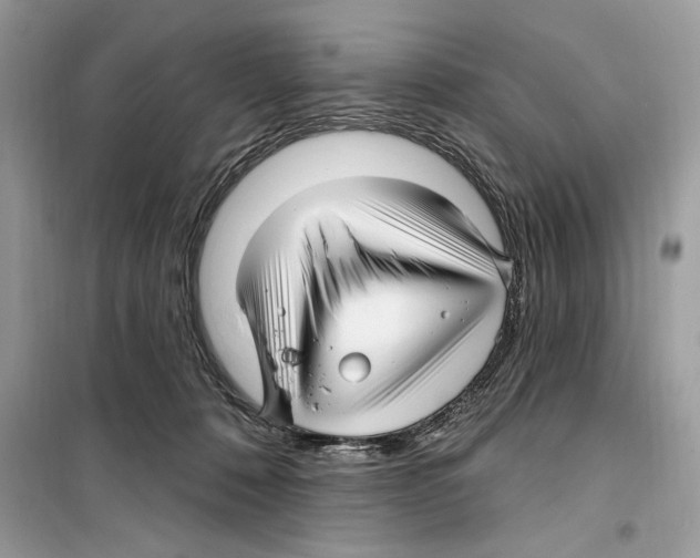 X0000098170320200805221520