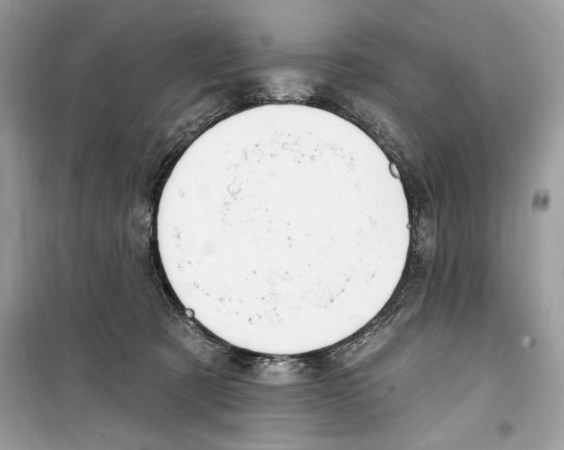 X0000098170321200805221520