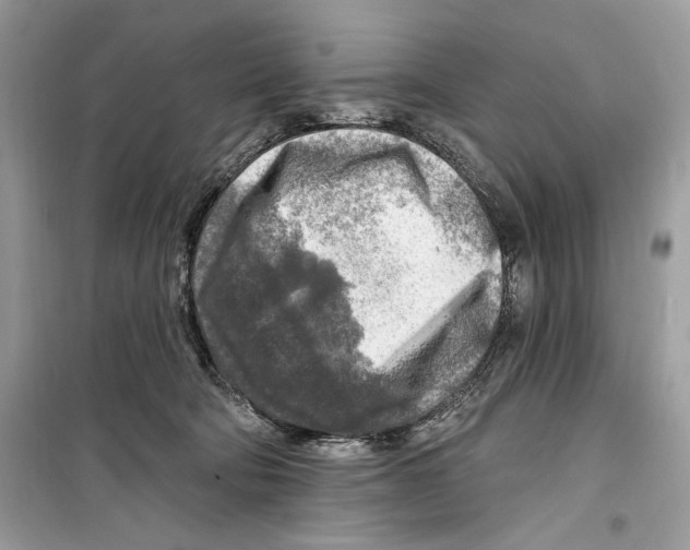 X0000098170322200805221520