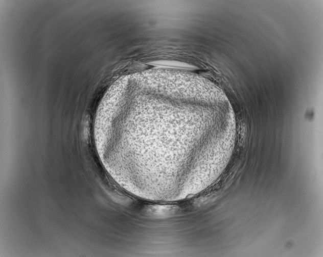 X0000098170323200805221520