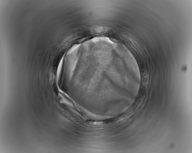 X0000098170324200805221520