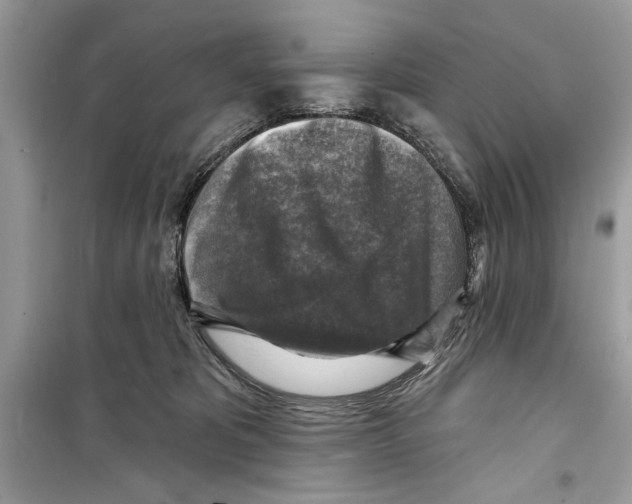 X0000098170325200805221520