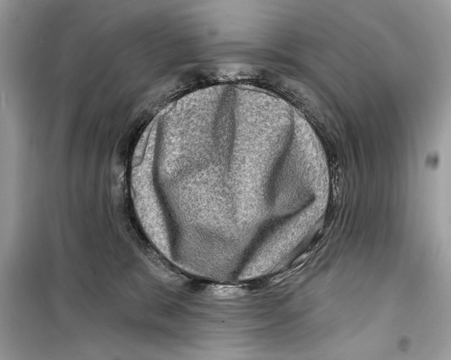 X0000098170327200805221520