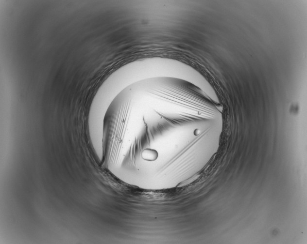 X0000098170328200805221520