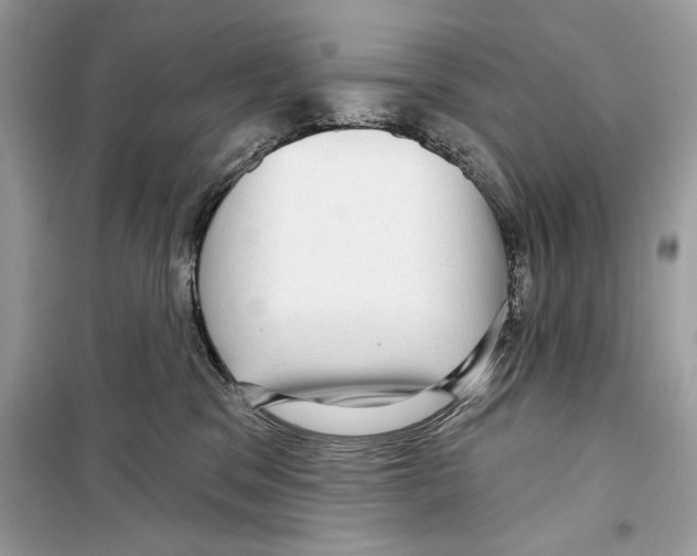 X0000098170329200805221520